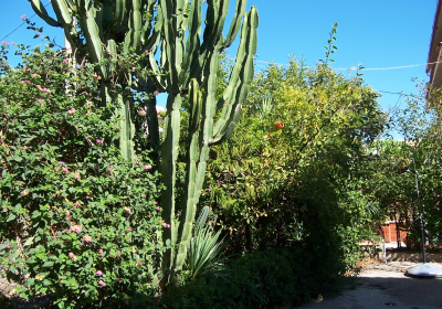 Casa Vacanze Villa Villa La Perla Del Golfo
